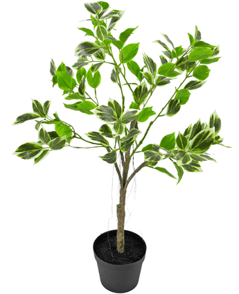 Kunstig plante Ficus Henryi 60 cm grøn/hvid