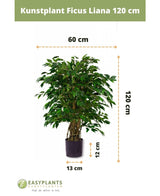 Kunstig plante Ficus Liana 120 cm