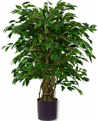 Kunstig plante Ficus Liana 120 cm