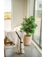 Kunstig plante Ficus Liana 120 cm