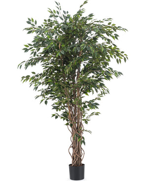 Kunstig plante Ficus Liana 180 cm