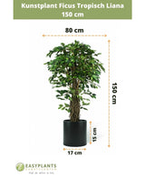 Kunstig plante Ficus Tropical Liana 150 cm