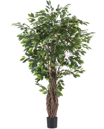 Kunstig plante Ficus Tropical Liana 180 cm