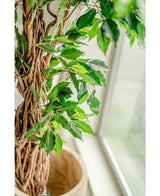 Kunstig plante Ficus Tropical Liana 180 cm