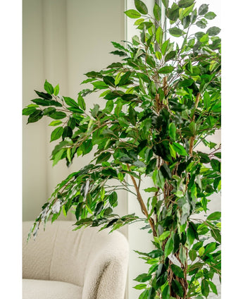 Kunstig plante Ficus Tropical Liana 180 cm