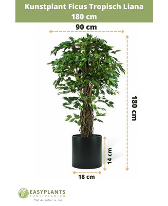 Kunstig plante Ficus Tropical Liana 180 cm