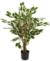 Kunstig plante Ficus grøn/hvid 90 cm