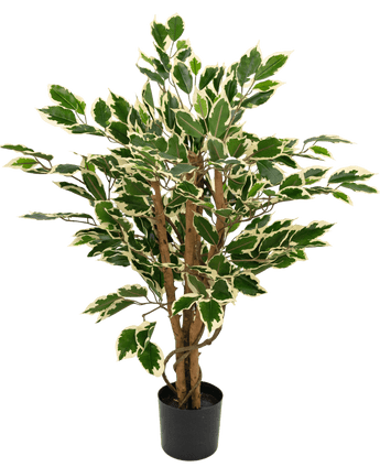 Kunstig plante Ficus grøn/hvid 90 cm