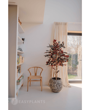 Kunstig plante Ficus grøn/rød 150 cm