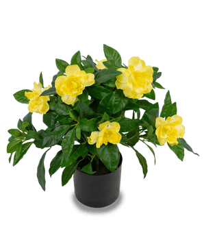 Kunstig plante Gardenia 39 cm
