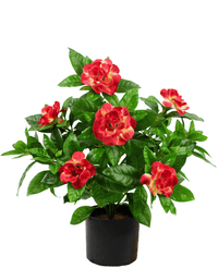 Kunstig plante Gardenia 39 cm fuchsia