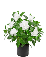 Kunstig plante Gardenia 39 cm hvid