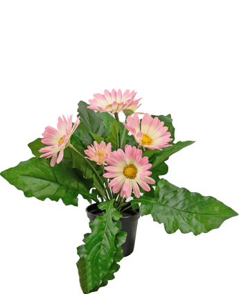 Kunstig plante Gerbera 28 cm pink