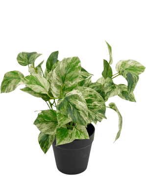 Kunstig plante Golden Vine i potte 35 cm