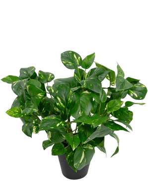 Kunstig plante Golden Vine i potte 40 cm