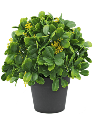 Kunstig plante Grøn/hvid 21 cm UV