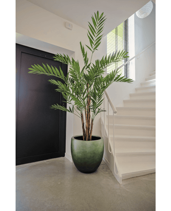 Kunstig plante Hawaii Parlour 180 cm