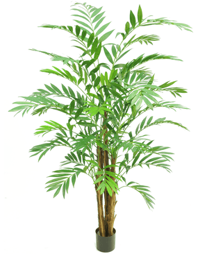 Kunstig plante Hawaii Parlour 180 cm