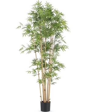 Kunstig plante Japansk bambus 170 cm