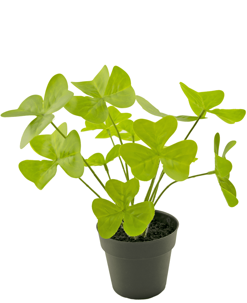 Kunstig plante Kløver 30 cm i dekorativ potte sort