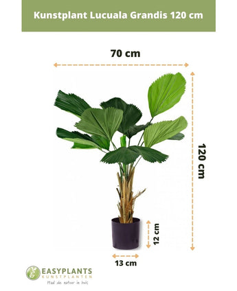 Kunstig plante Lucuala Grandis 120 cm