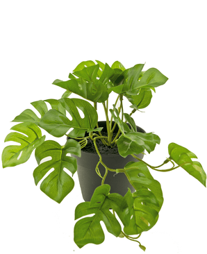 Kunstig plante Monstera 18 cm