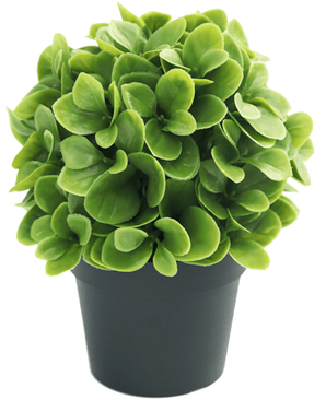 Kunstig plante Murraya 20 cm UV