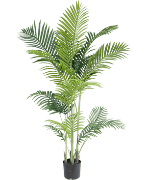 Kunstig plante Phoenix 170 cm