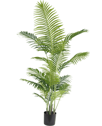 Kunstig plante Phoenix 180 cm