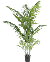 Kunstig plante Phoenix 210 cm