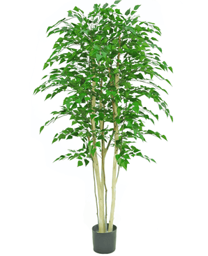 Kunstig plante Rough Birch 210 cm