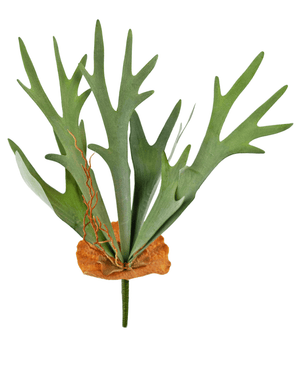 Kunstig plante Staghorn 53 cm