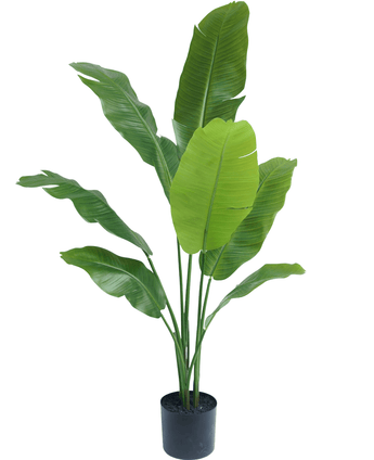 Kunstig plante Strelitzia Nicolai Deluxe 120 cm