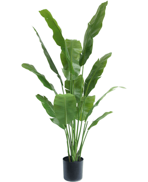 Kunstig plante Strelitzia Nicolai Deluxe 165 cm