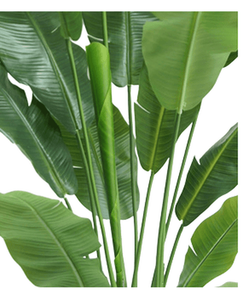 Kunstig plante Strelitzia Nicolai Deluxe 180 cm