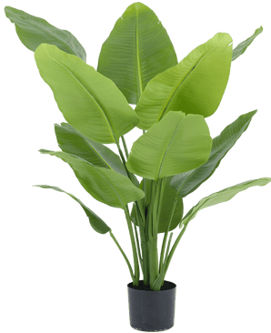 Kunstig plante Strelitzia Real Touch Deluxe 120 cm