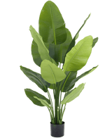 Kunstig plante Strelitzia Real Touch Deluxe 150 cm