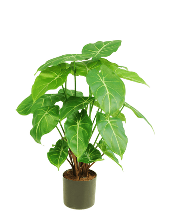 Kunstig plante Syngonium 58 cm