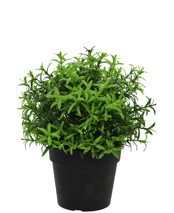 Kunstig plante Urter i potte 21 cm UV