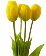 Kunstig tulipanbuket Real Touch Yellow 40 cm