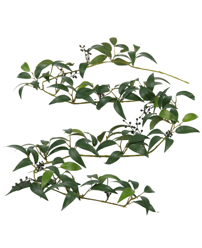 Artificial Smilax Garland 180cm har lange, tynde grene med bundter af mørkegrønne blade og små sorte bær mod en hvid baggrund.