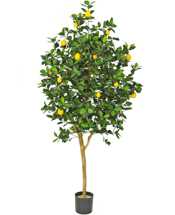 Kunstigt citrontræ 150 cm