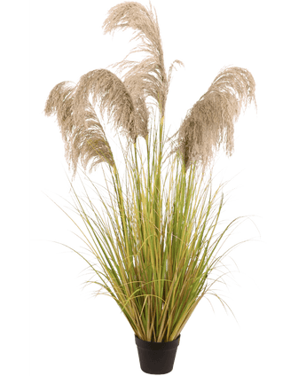 Kunstigt pampasgræs 150 cm