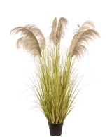 Kunstigt pampasgræs 170 cm