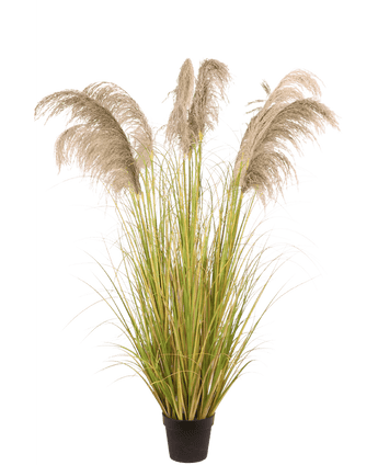Kunstigt pampasgræs 170 cm