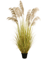 Kunstigt pampasgræs 200 cm