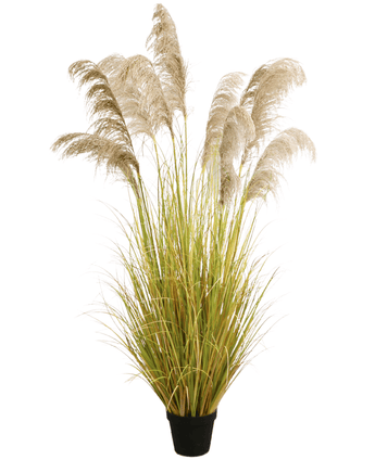 Kunstigt pampasgræs 200 cm