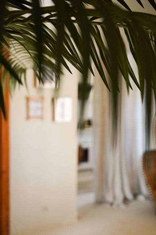 Et nærbillede af Artificial Palm Phoenix De Luxe 210 cm grønne blade skjuler delvist et blødt oplyst rum med creme vægge, indrammede fotos, hvide gardiner og en sløret baggrund.