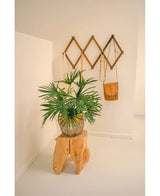 Artificial Plant Baby Palm Fan i potte UV 50 cm sidder på en trætaburet i et minimalistisk rum. Bag den viser et brunt harmonika-stil vægstativ brune og solbrune lædertasker mod en sprød hvid væg.