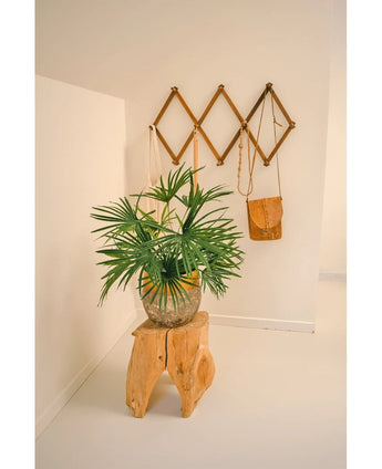 Artificial Plant Baby Palm Fan i potte UV 50 cm sidder på en trætaburet i et minimalistisk rum. Bag den viser et brunt harmonika-stil vægstativ brune og solbrune lædertasker mod en sprød hvid væg.